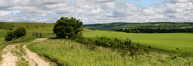 Countryside road