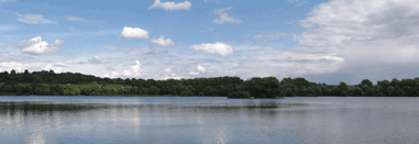 Herts and Middlesex Wildlife Trust Space