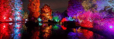 A Watford Park lit up brightly