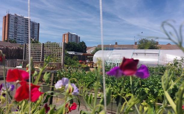 Random Cafe garden