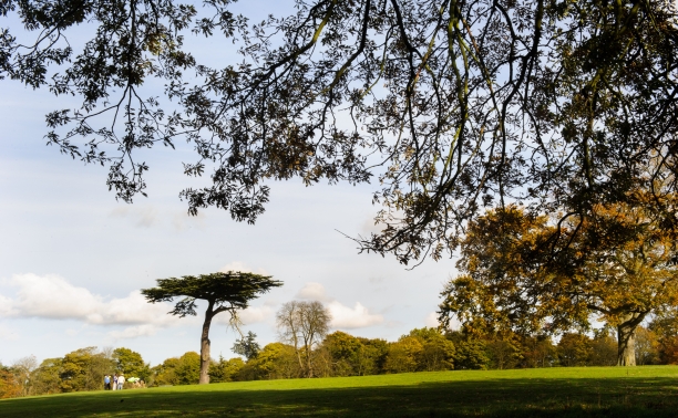 Cassiobury Park Simon Jacobs