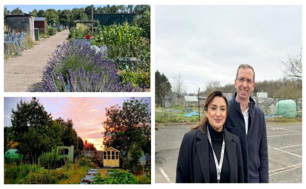 Cherry tree allotments