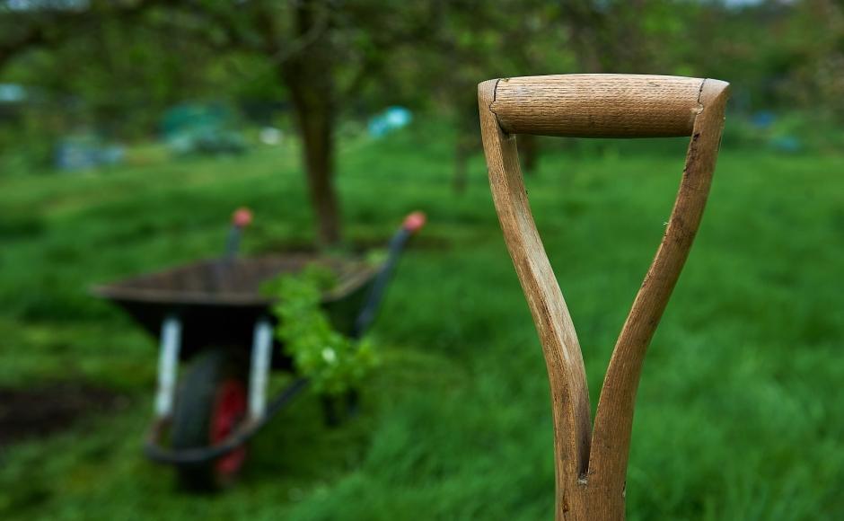 A shovel sticking out of a grassy area, with a wheelbarrow in the background