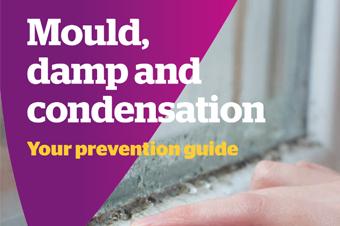 Damp and mould leaflet