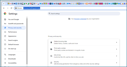 Deleted data complete in Chrome