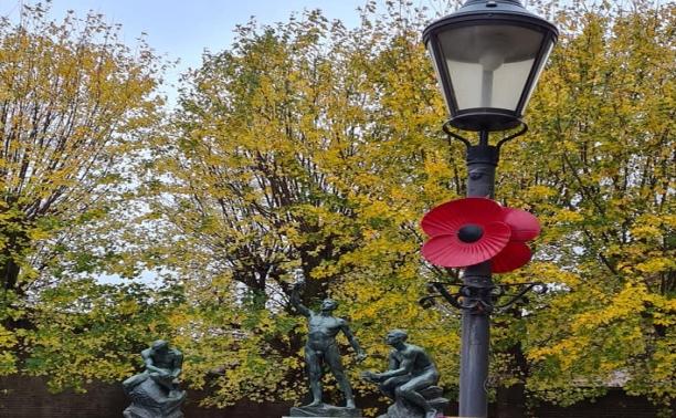 Lampost poppy 5