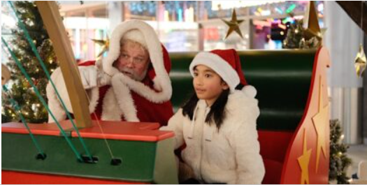 Santa's Flight School
