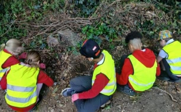 Students bug hunting at garston station bug id workshop c amy trotter