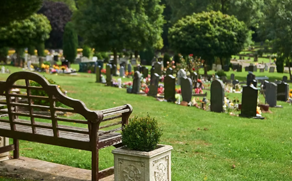 A bench view from Watford Cemetery