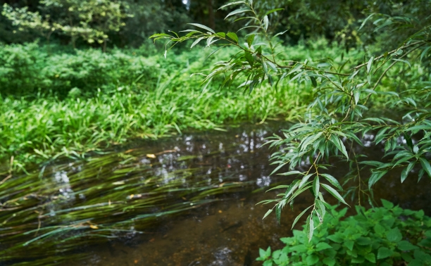 ‘Tales of the River’ project launched in partnership with The National Lottery Heritage Fund