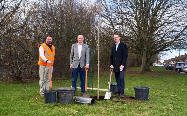 Tree planting