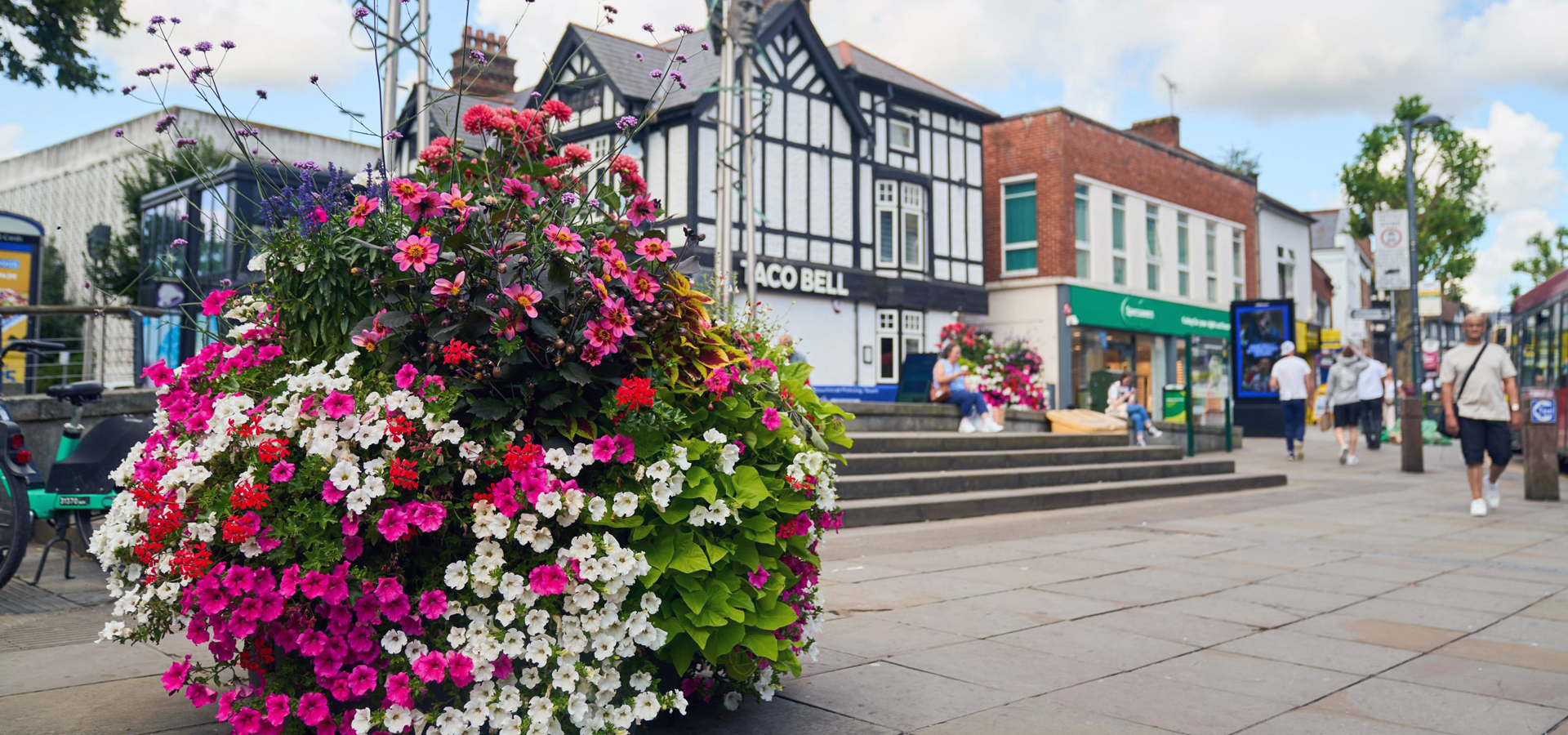 Watford Town Centre and some nice flowers
