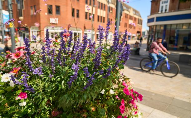 Watford bid banners town centre