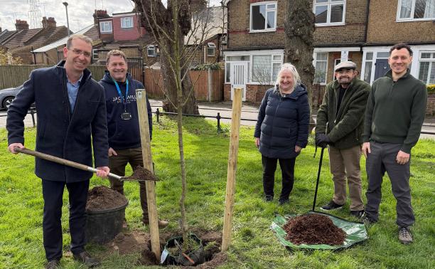 New tree planting for 2026 to help Watford grow greener