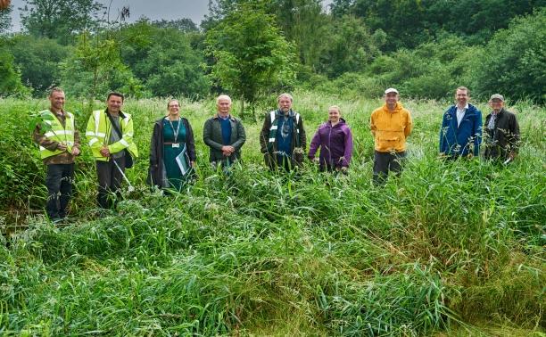 Wetlands project