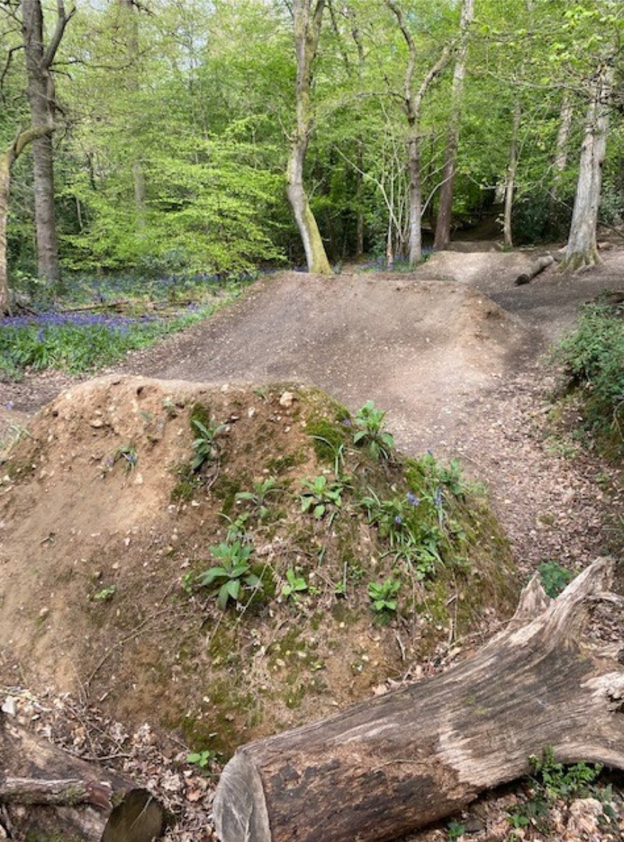 Whippendell Wood BMX trail