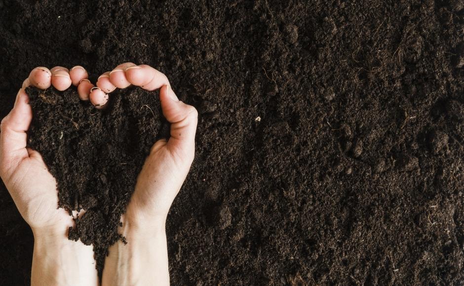 Hands in compost