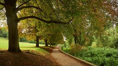 Oxhey activity park