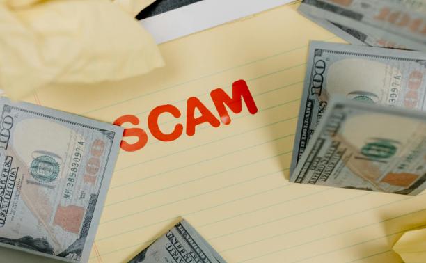 Pexels tara winstead 7111601 - scam