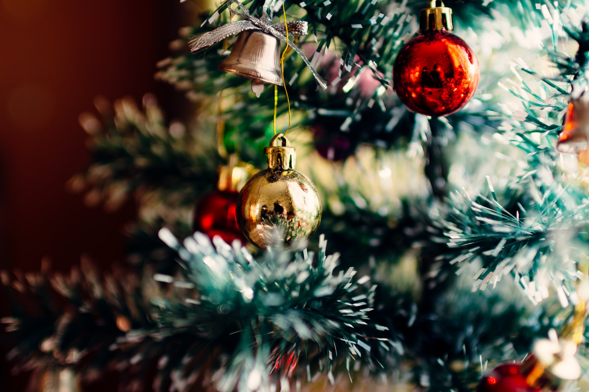 Museum on Tour Brings Victorian Christmas to Cassiobury Park
